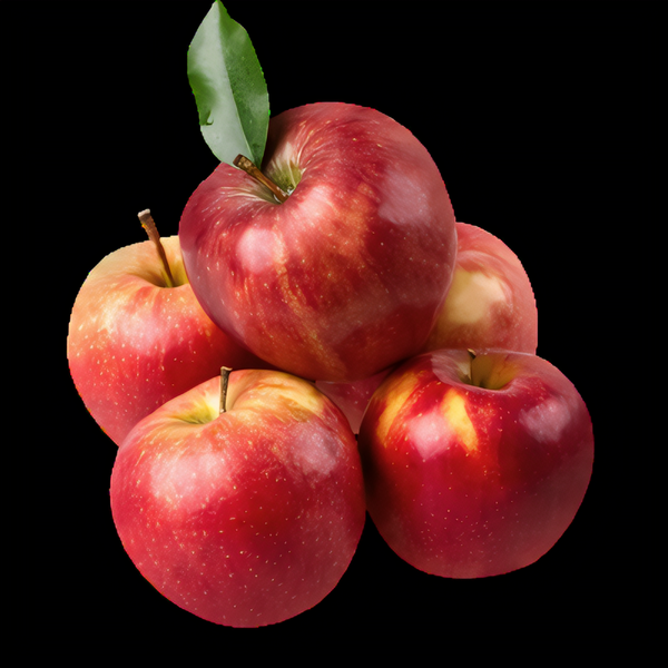 Semi-Dwarf Liberty Apple Tree
