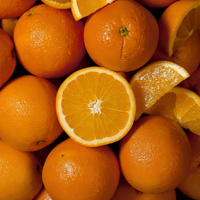 Hamlin Sweet Orange Tree - 1