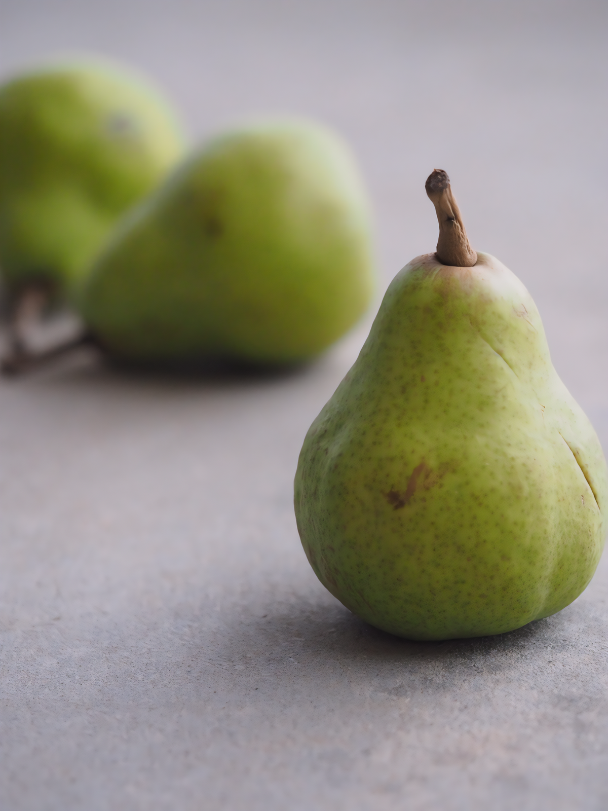 Leconte Pear Tree - 1