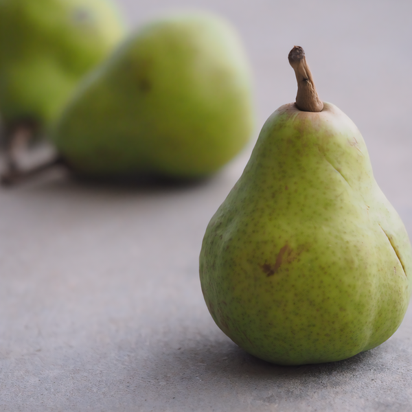 Leconte Pear Tree