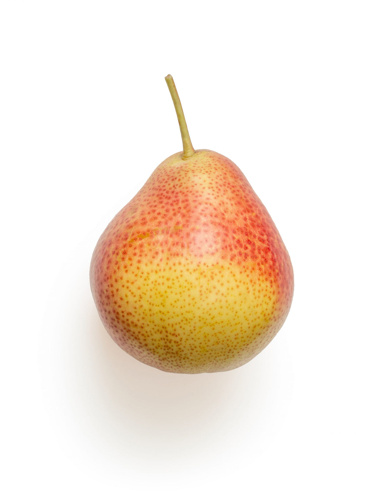Ayers Pear Tree