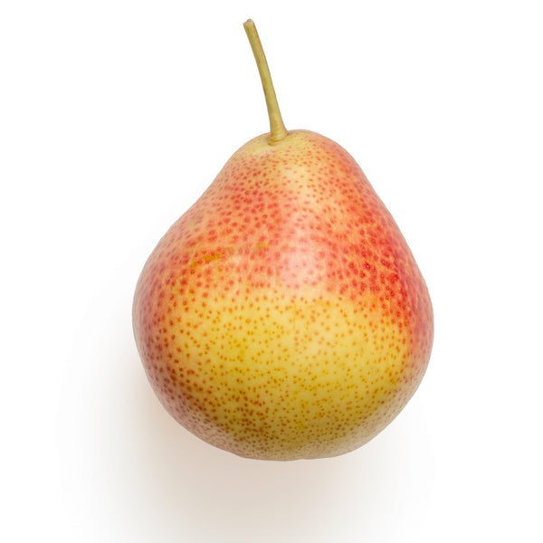 Ayers Pear Tree