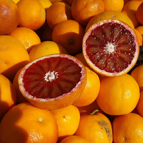 Moro Blood Orange Tree