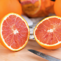 Moro Blood Orange Tree - 2