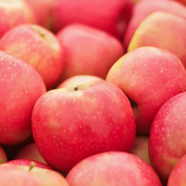 Pink Lady Apple Tree
