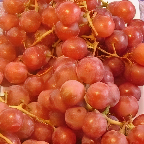 Red Flame Seedless Grapevine
