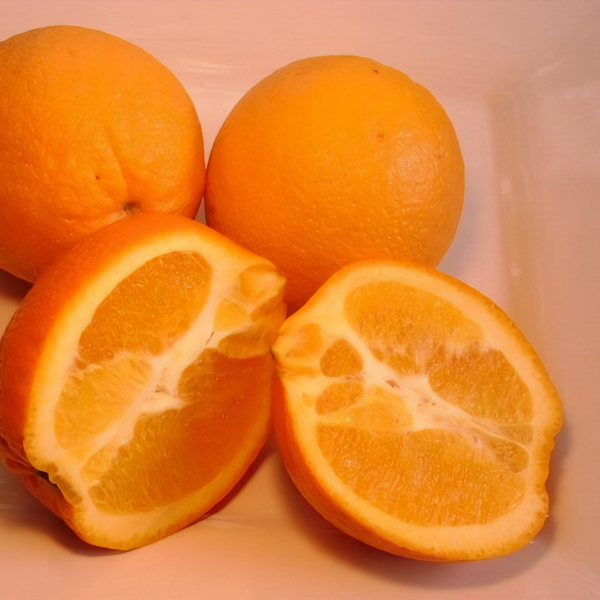 Republic of Texas Orange Tree