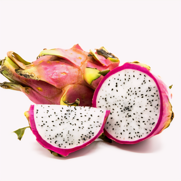 Vietnamese White Dragon Fruit Plant