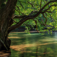 Water Hickory - 1