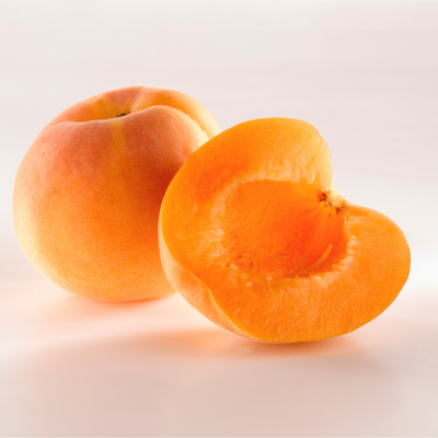 Tilton apricot (Prunus armeniaca)