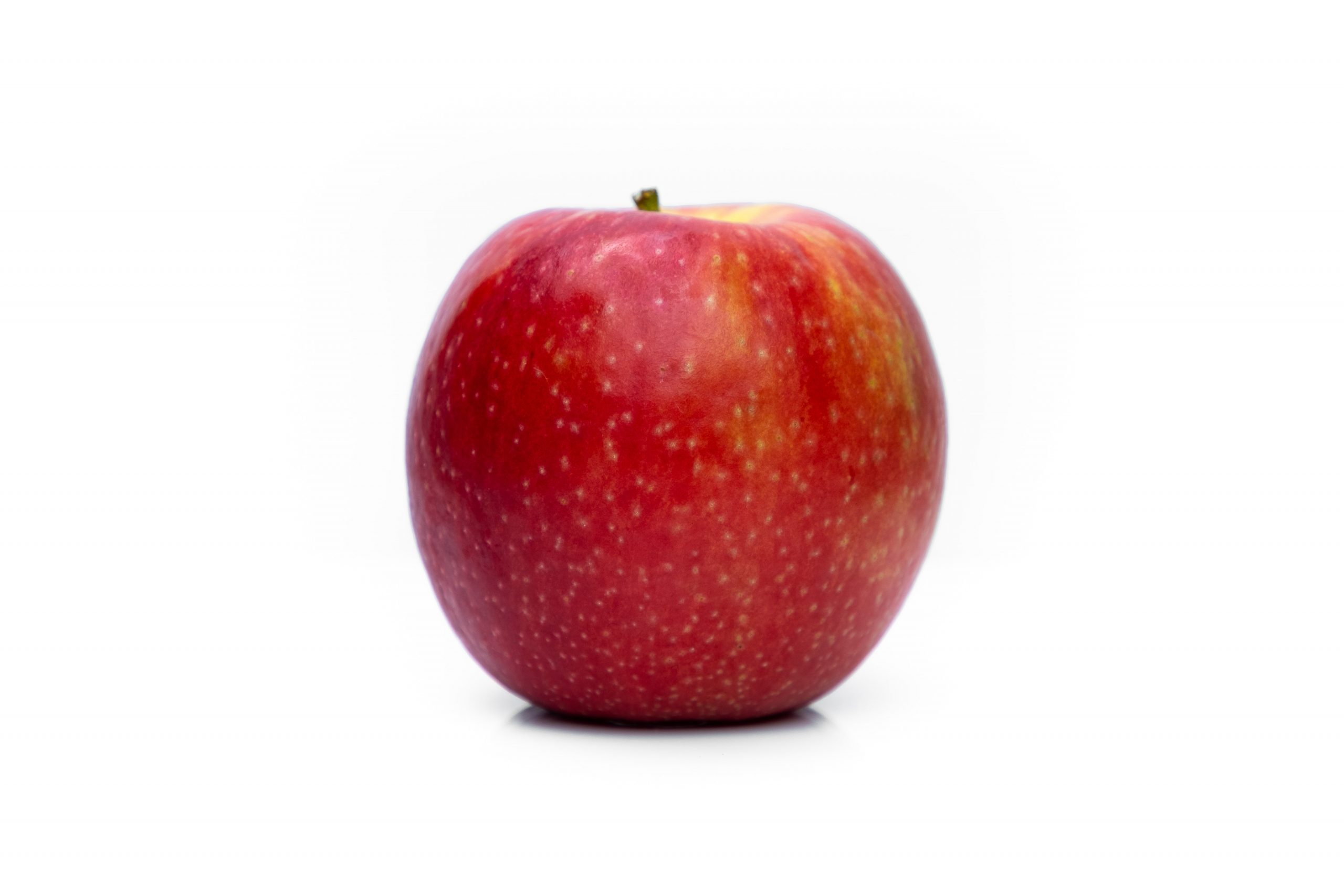 Apple 'Honeycrisp', Dwarf — Green Acres Nursery & Supply