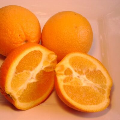 Valencia Orange Tree