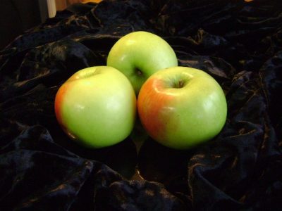 Dorsett Apple