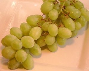 Siebel 9110 Grape white grape