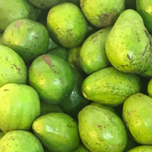 lila avocado