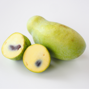 Shenandoah pawpaw (Asimina triloba)