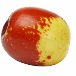jujube