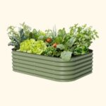 Raised Bed Gardening