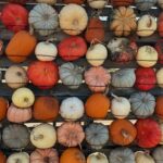 pumpkin wall